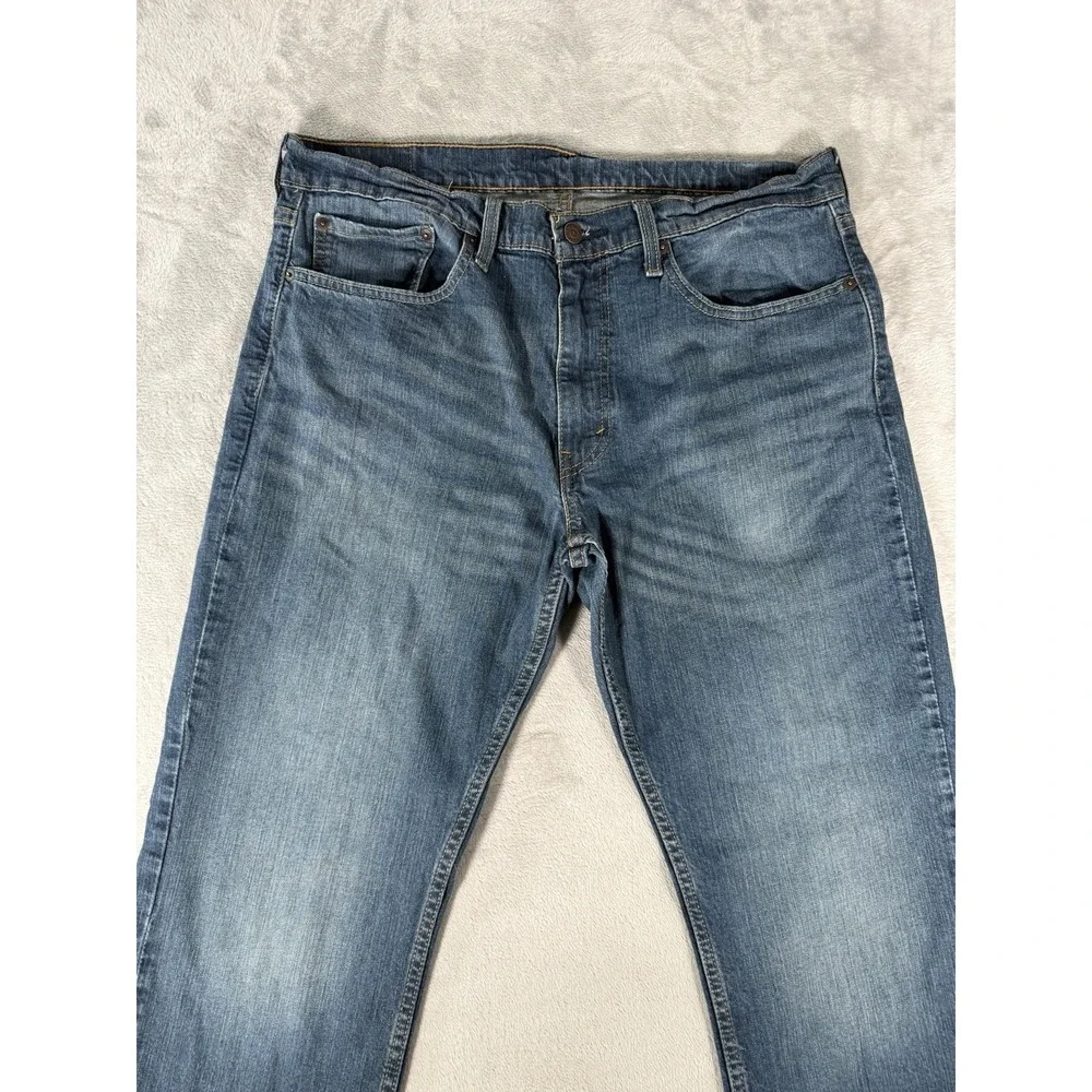 Levis levis 559